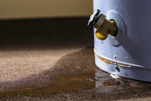 Best Basement water damage restoration  in Willows, CA