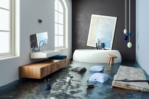Best Flooded house restoration  in Willows, CA