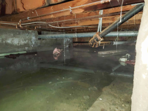 Best Sewage cleanup and water damage restoration  in Willows, CA