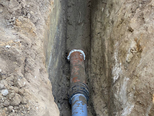 Best Flood damage cleanup  in Willows, CA