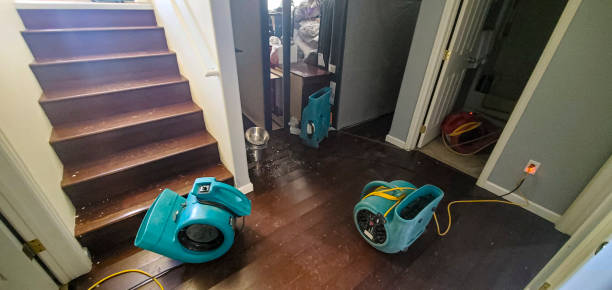 Best Water damage restoration company  in Willows, CA