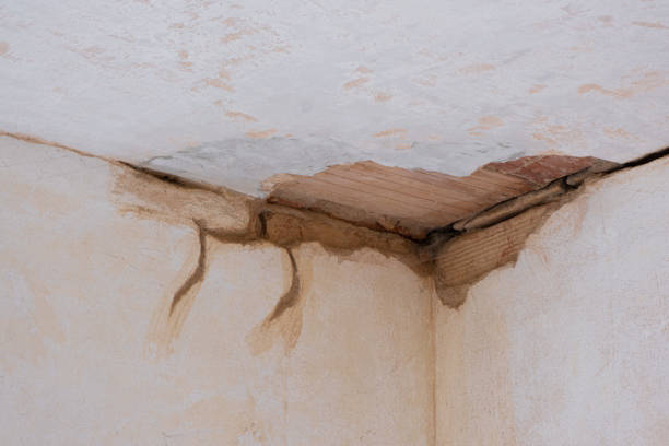 Best Local water damage restoration  in Willows, CA
