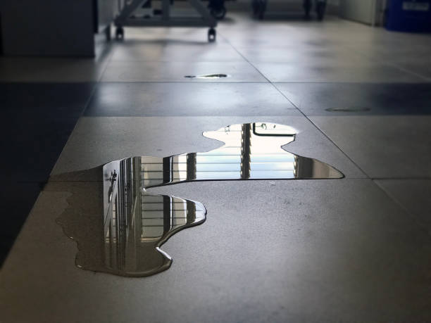 Best Water damage mitigation services  in Willows, CA