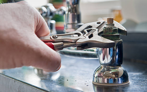 Best Mold removal after water damage  in Willows, CA