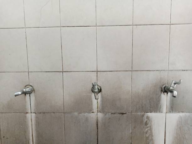 Best Water damage restoration near me  in Willows, CA