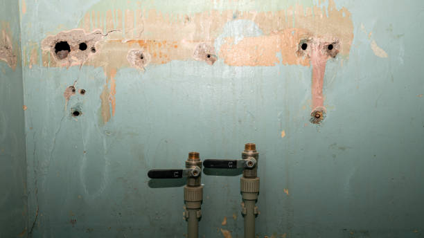Best Professional water damage repair  in Willows, CA