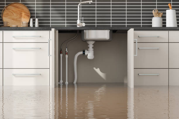 Best 24-hour water damage restoration  in Willows, CA