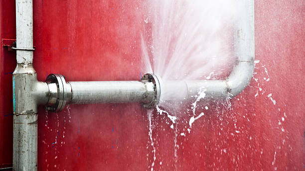 Best Flood damage cleanup  in Willows, CA